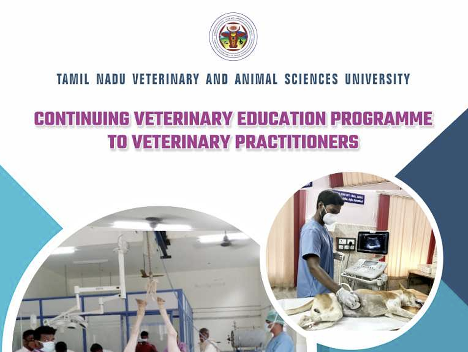 veterinary-clinical-training-calendar-2025